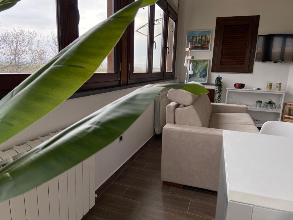 Villa Rosella appartamento 2 - con piscina - 150 m dal mare Casa Margherita Esterno foto
